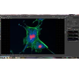 NIS-Elements 4.0 software