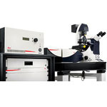 Leica TCS SP8 STED 3X - fast and direct 3D super-resolution