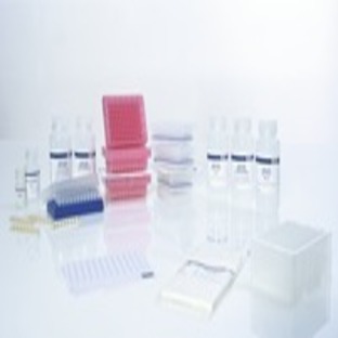 AllPrep DNA/RNA 96 Kit (4)