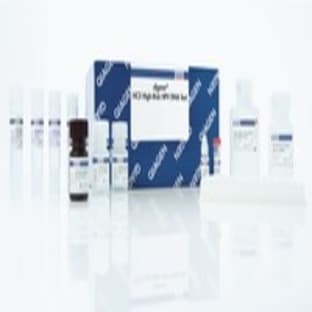						digene HC2 High-Risk HPV DNA Test