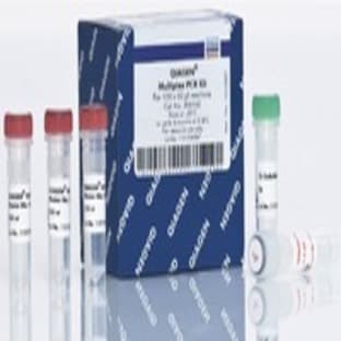 QIAGEN Multiplex PCR Kit (1000) avatar