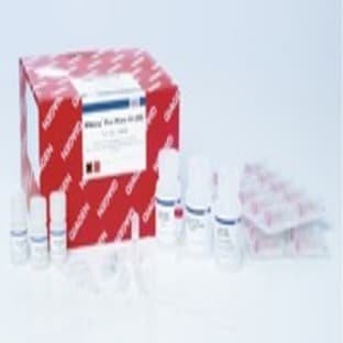 RNeasy Plus Mini Kit (50)