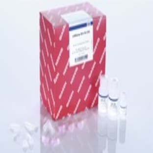 miRNeasy Mini Kit (50) avatar