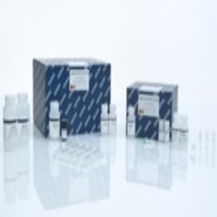 QIAamp DNA Mini Kit (250) avatar