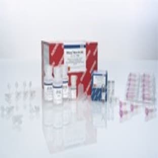 RNeasy Micro Kit (50)