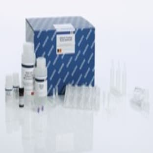 QIAamp Circulating Nucleic Acid Kit (50) avatar
