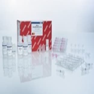 AllPrep DNA/RNA Mini Kit (50) avatar
