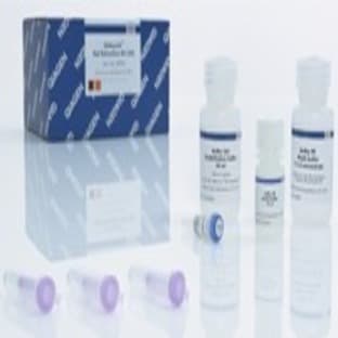 QIAquick Gel Extraction Kit (50) avatar