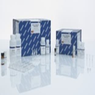 QIAamp DNA Blood Mini Kit (250) avatar