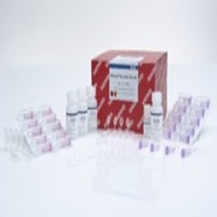 RNeasy Plant Mini Kit (50)
