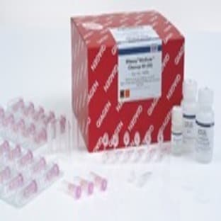 RNeasy MinElute Cleanup Kit (50)