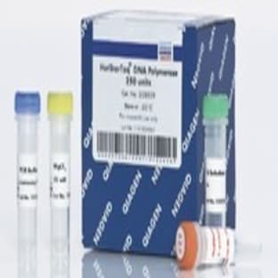 HotStarTaq DNA Polymerase (1000 U)