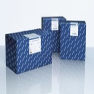 QIAamp Fast DNA Stool Mini Kit (50) avatar