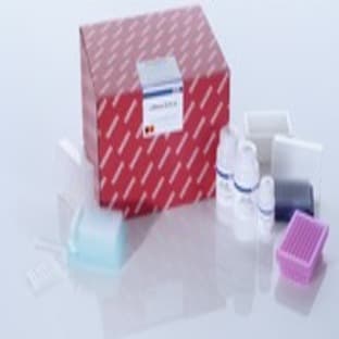 RNeasy 96 Kit (4) avatar