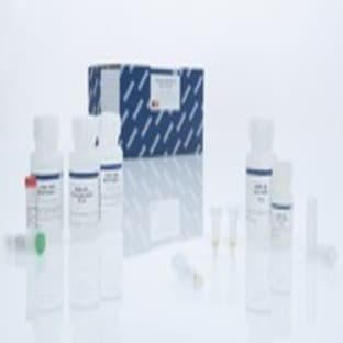 QIAamp RNA Blood Mini Kit (50) avatar