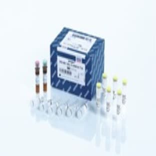 ipsogen BCR-ABL1 Mbcr IS-MMR Kit (24) avatar