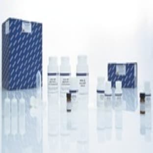 QIAamp DNA Blood Maxi Kit (50) avatar