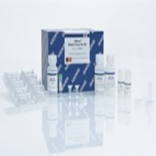 		DNeasy  96 Blood & Tissue Kit (4) avatar