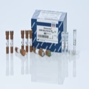 therascreen EGFR RGQ PCR Kit (24)