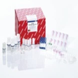 AllPrep DNA/RNA FFPE Kit (50)