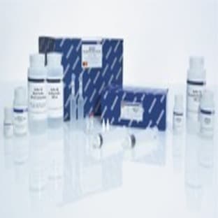 QIAGEN Plasmid Plus Midi Kit (25) avatar