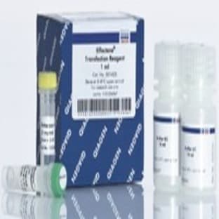 Effectene Transfection Reagent (4 x 1 ml)