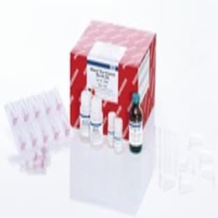 RNeasy Plus Universal Mini Kit (50)