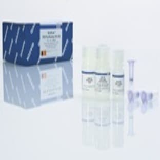 MinElute PCR Purification Kit (50) avatar