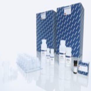 QIAamp DNA Mini QIAcube Kit (240) avatar