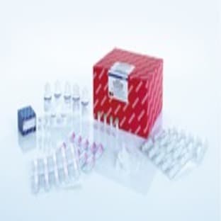 AllPrep DNA/RNA/miRNA Universal Kit (50)