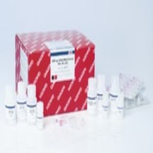 AllPrep DNA/RNA/Protein Mini Kit (50) avatar
