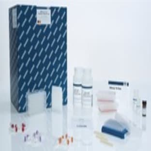 QIAamp Virus BioRobot MDx Kit (12) avatar