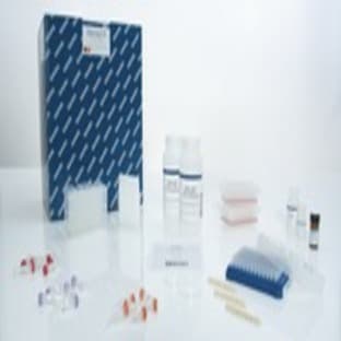 QIAamp One-For-All Nucleic Acid Kit (12) avatar