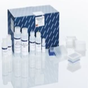 QIAGEN Plasmid Plus 96 Miniprep Kit (4) avatar