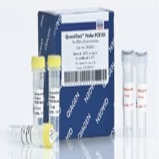 QuantiTect Probe PCR Kit (1000)