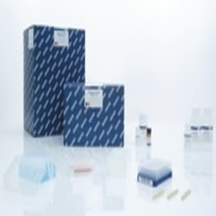 QIAamp 96 DNA Blood Kit (12) avatar