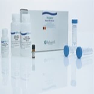 PAXgene Blood DNA Kit (25) avatar
