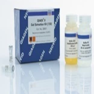 QIAEX II Gel Extraction Kit (150) avatar
