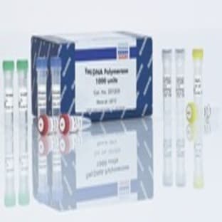 Taq DNA Polymerase (5000 U)