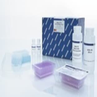 QIAquick 96 PCR Purification Kit (4) avatar