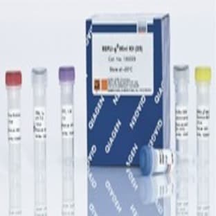 REPLI-g Mini Kit (100)
