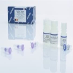 MinElute Reaction Cleanup Kit (250) avatar