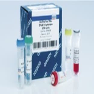 HotStarTaq Plus DNA Polymerase (5000)