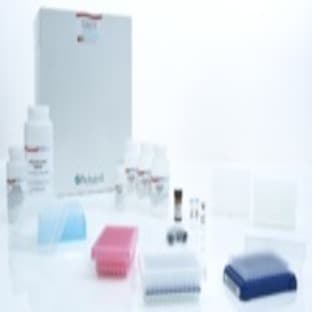 PAXgene 96 Blood RNA Kit (4)