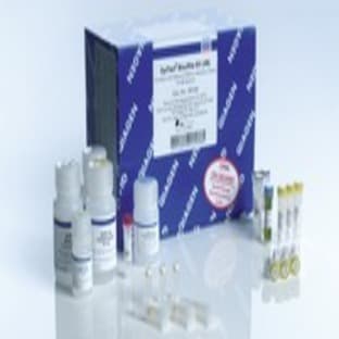 EpiTect Bisulfite Kit (48) avatar