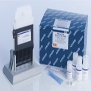 QIAxcel DNA Fast Analysis Kit (3000)