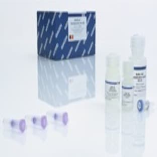 MinElute Gel Extraction Kit (50)