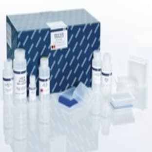 QIAprep 96 Plus Miniprep Kit (4) avatar