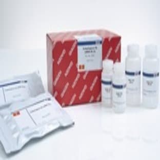 TurboCapture 96 mRNA Kit (5)