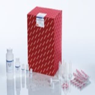 exoRNeasy Serum/Plasma Maxi Kit (50)